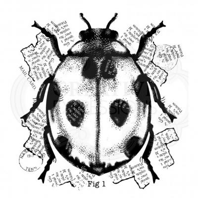 Creative Expressions Clear Stamp - Ladybird
